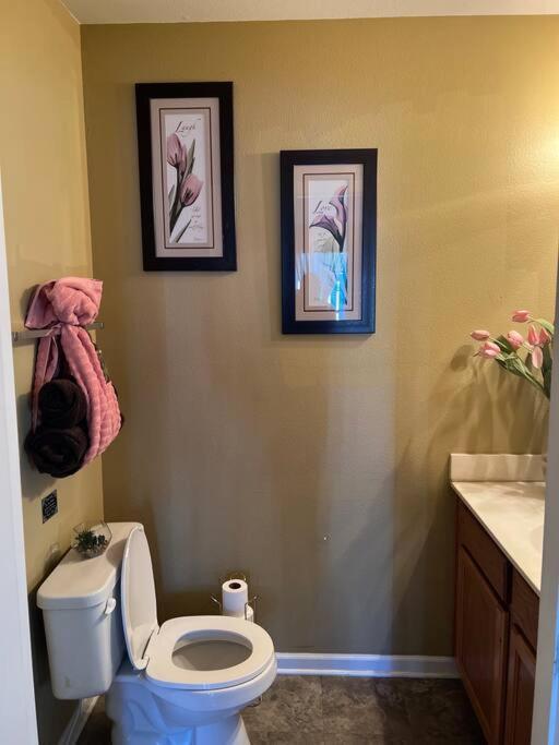 Cozy Away From Home! Apartamento Charlotte